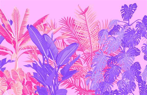 Tropical Pink Wallpapers Top Free Tropical Pink