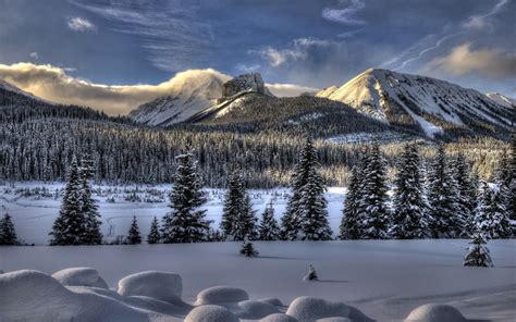2560x1440 Forest Snow Mountains Trees Clouds Sky Winter
