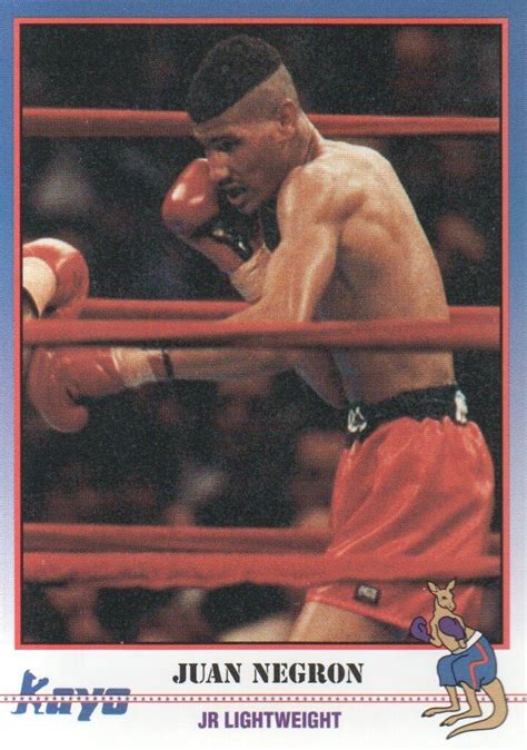 1991 Kayo Boxing Trading Cards 107 Juan Negron At Amazons Sports