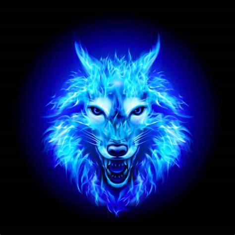 600 Fire Wolf Stock Photos Pictures And Royalty Free Images Istock