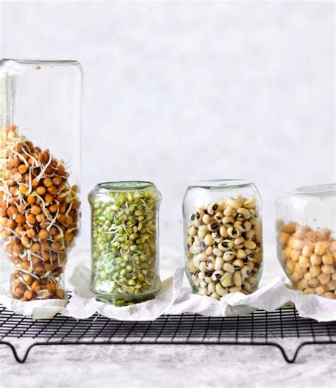soaking overnight before cooking is the right way to handle beans grains nuts and seeds and