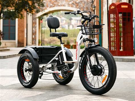 Pin On Electric Trikes