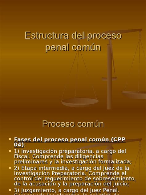 Estructura Del Proceso Penal Común