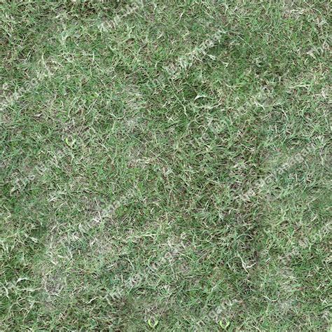 4k Grass Seamless Texture Download Image Free Download