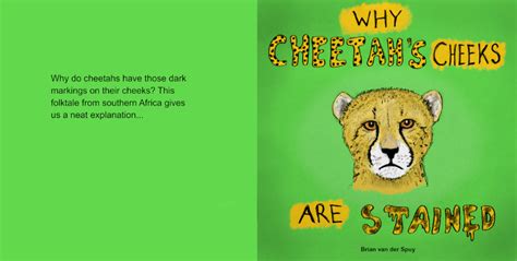 Brians Notebook Why Cheetahs Cheeks Are Stained Cheetahs Cheek
