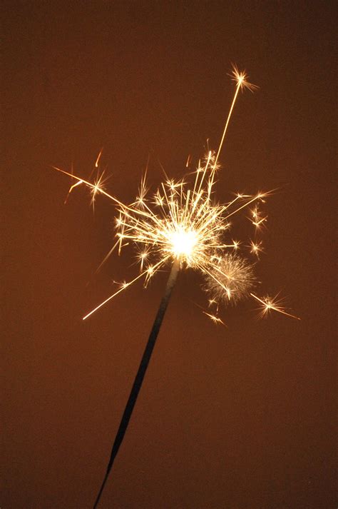 Free Images Light Flower Atmosphere Sparkler Toy New Year