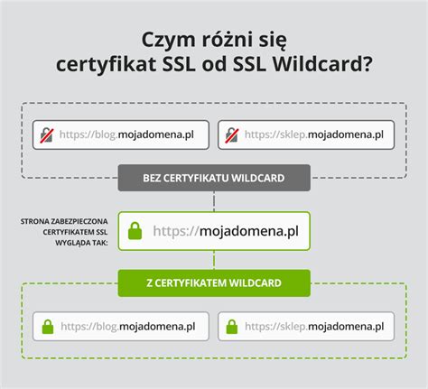 (computing) a character that takes the place of any other character or string that is not known or specified. Certyfikaty typu Wildcard - czym są i do czego służą ...