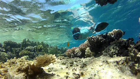 Diving In Sharm El Sheikh With Gopro Dive Housing Youtube