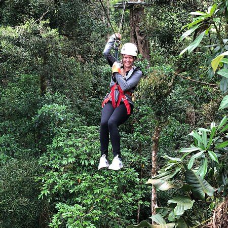 Attractions near the original canopy tour. The Original Canopy Tour (Monteverde) - Qué saber antes de ...