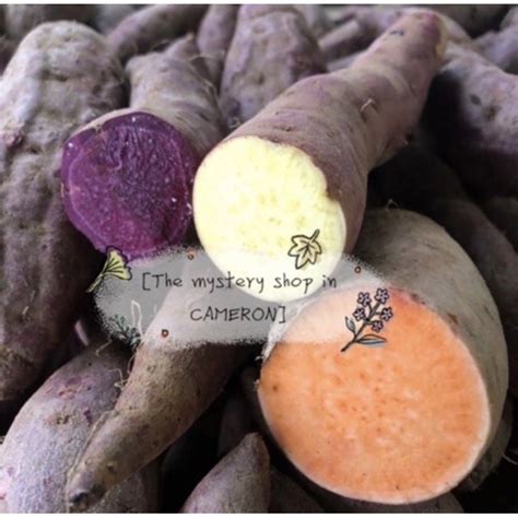 Sweet Potato Keledek Ubi Maduubi Manis Purpleyelloworange 🍠 1 Kg