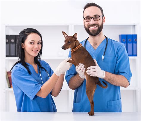 Emergency Veterinarian | San Diego, CA | Veterinarian