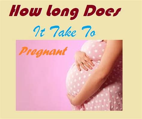 How Long Does It Take To Get Pregnant A Complete Guide