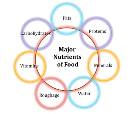 Food Variety Nutrients Types Of Food And Importance