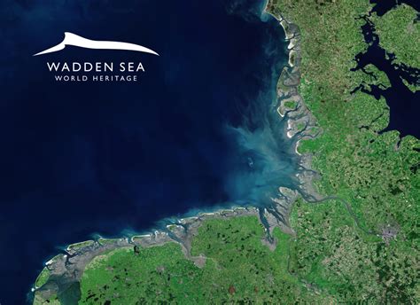 Endlose strände, maritime fischerdörfer, natur im wechsel der gezeiten. Nationalpark Wattenmeer | Multimar Wattforum