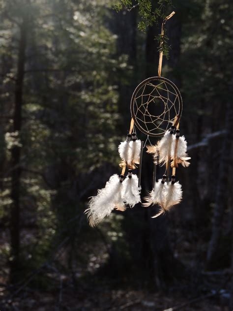 Be The Catcher Of Your Dreams Courtneys Photography Dream Catcher