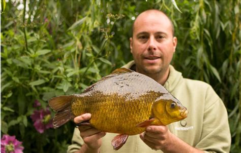 British Record Crucian Carp The Full Story Angling Times