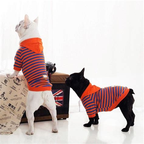 Clear readers, perfect for literally any occasion. Light Spring Striped French Bulldog Hoodie | French ...