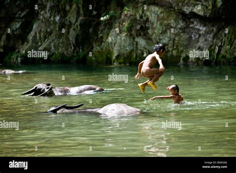 Jungen Schwimmen Im Fluss Mit Wasserbüffel Leishan Kaili Qiandongnan