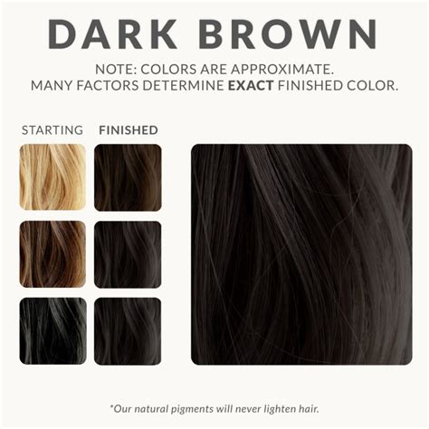 Dark Brown Henna Hair Dye Henna Color Lab