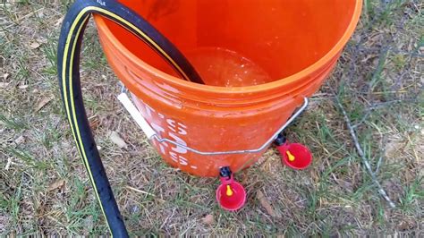 How To Make A 5 Gallon Chicken Waterer Youtube