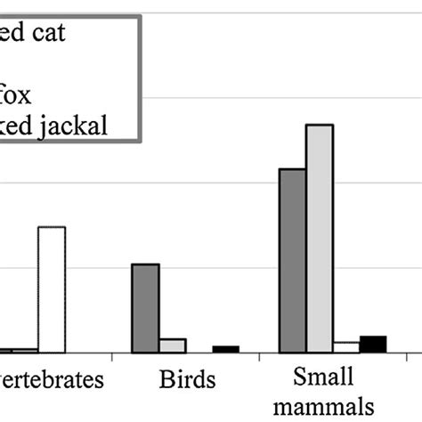 Pdf Ecological Relationships Of Black Footed Cats Felis Nigripes