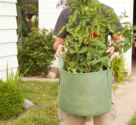 How To Use Grow Bags For Amazing Vegetable Gardens Midwest Living