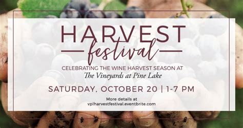 Celebrate The Wine Harvest Season At The Vineyards At Pine Lake The