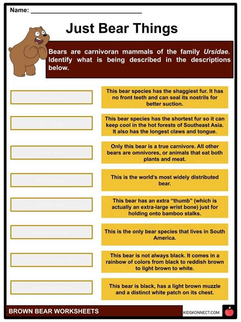 Brown Bear Facts Worksheets Description And Distribution For Kids