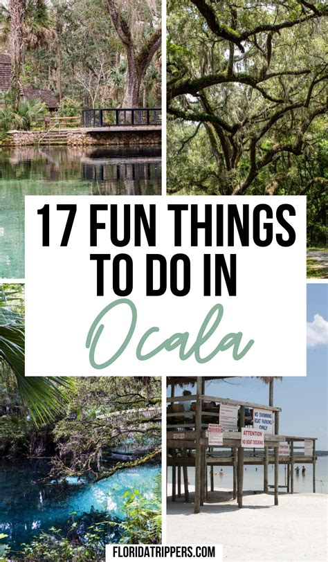 17 Fun Things To Do In Ocala Florida Ocala Florida Florida Vacation