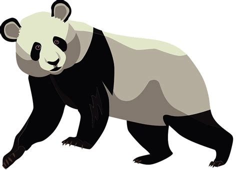 Giant Panda Clipart Free Download Transparent Png Creazilla