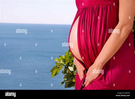 Beautiful Pregnant Woman And Lady Is Hugging And Holding Her Pregnant