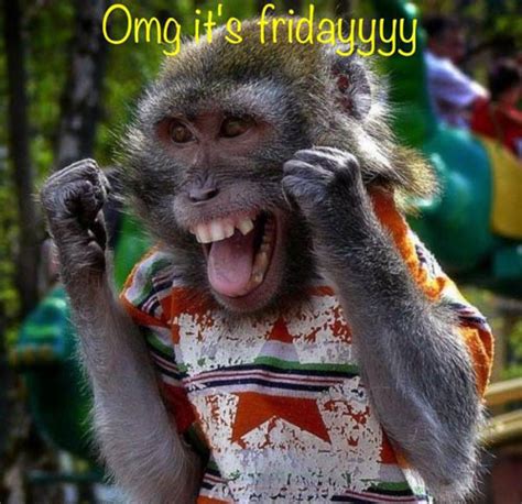 Dancing, beer, wine and relaxing is on the cards when its friday!! random thoughts for FRIDAY august 16th, 2013 - COUNTRY ...