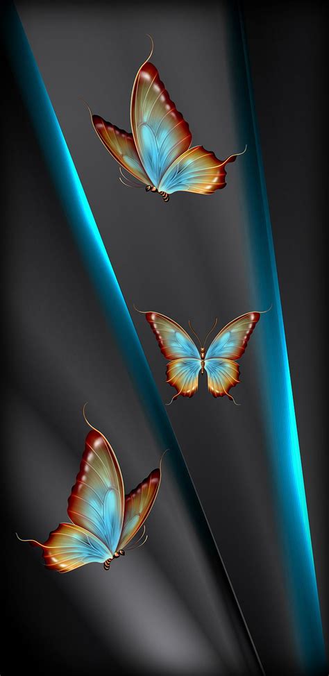 1920x1080px 1080p Free Download Butterflies Art Blue Desenho