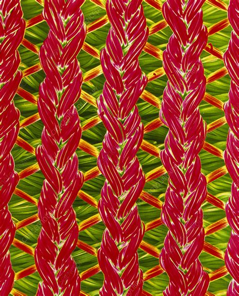 False Colour Sem Of Lycranylon Woven Fabric Stock Image H1200172