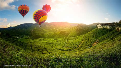 Ideal for fun and relaxation, nova highlands resort and residence is located in the brinchang area of cameron highlands. Cameron Highlands - Everything you need to know about ...