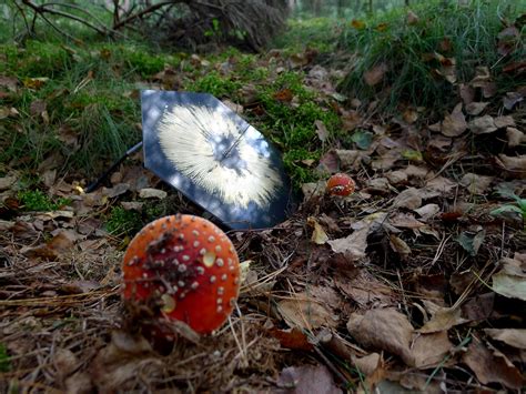 Martin howse is on mixcloud. Martin Howse (UK): Radio Mycelium Array (RMA), 2017 ...