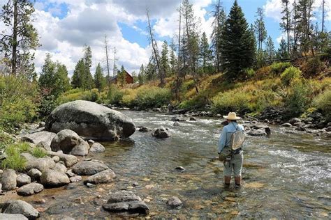 Diy Guide To Fly Fishing The Elk River In Colorado Diy Fly Fishing