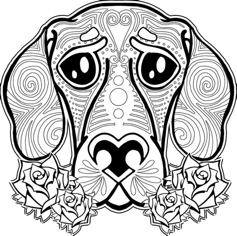Detailed Animal Coloring Pages At Free