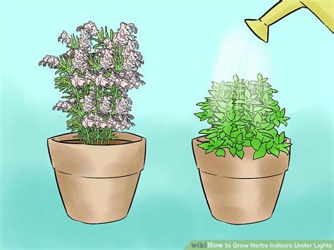 Lettuces are by far the easiest to grow in an indoors setting and especially under t5 grow lights, since they don't require a lot of care and will grow quickly. 3 Ways to Grow Herbs Indoors Under Lights - wikiHow