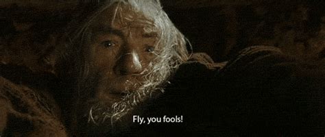 Gandalf Fly You Fools