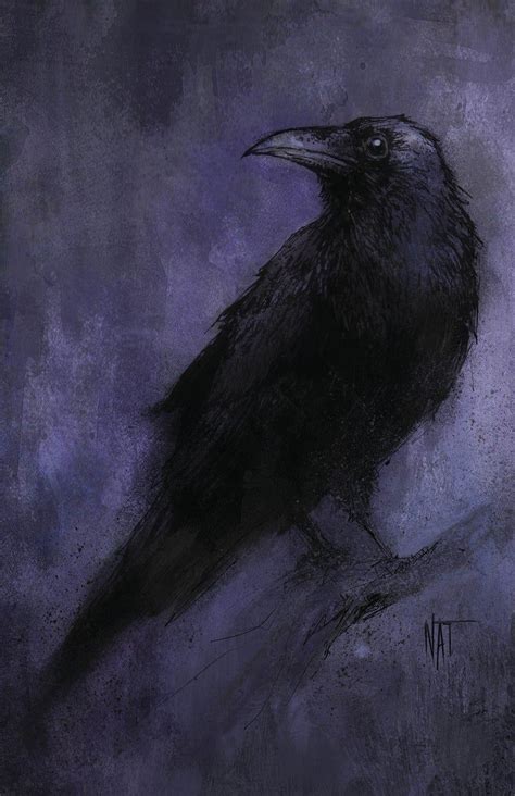 Crow Print Art Print Nat Jones Crow Raven Raven Print Etsy Kraai