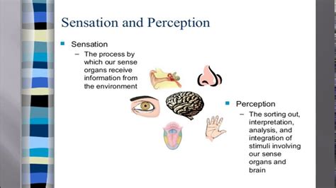 By Topic Psychology And Counseling Sensation And Perception Psychology