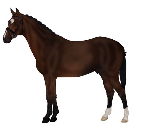 Download Sims Horse Markings Rein Pets Free Transparent Image Hq Hq Png