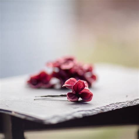 Ella Hydrangea Hair Pin By Gypsy Rose Vintage