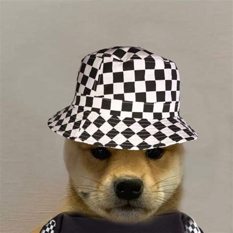 Pin By Stilly On Dog With Hat Dog Icon Dog Images Dog