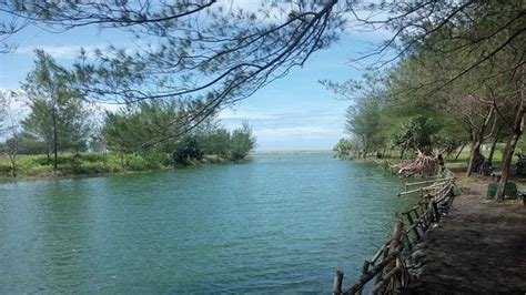 Desa merpas, kec nasal, kab kaur, bengkulu. Laguna Pantai Glagah Jadi Daya Tarik Wisatawan Di Kulonprogo - Lifestyle Liputan6.com