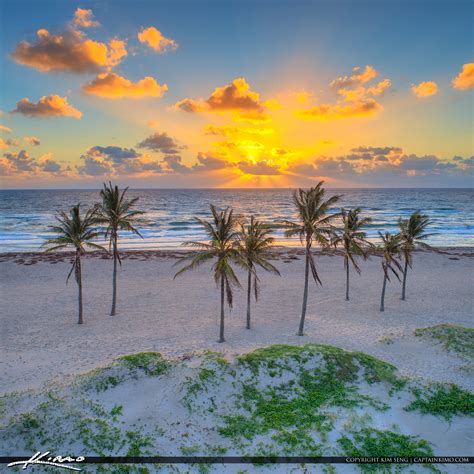 Singer Island Aerial Sunrise Coconut Tree The Palm Beaches Hdr