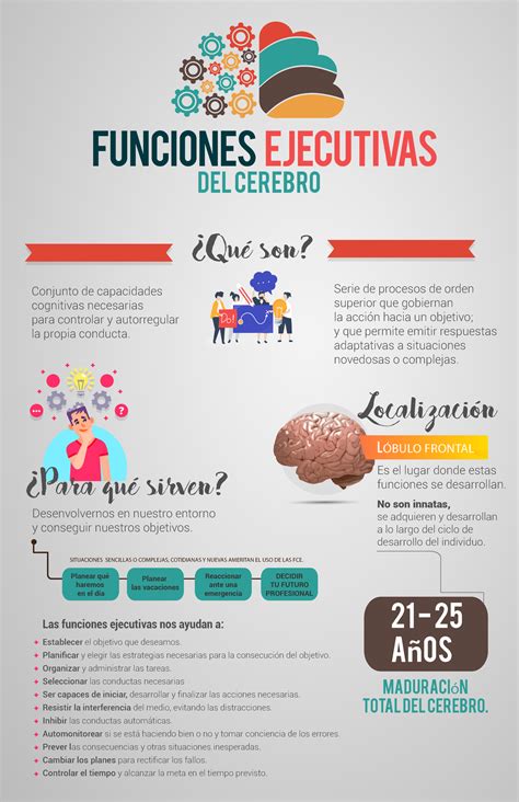 Infografia De Funciones Ejecutivas DEL CEREBRO Conjunto De