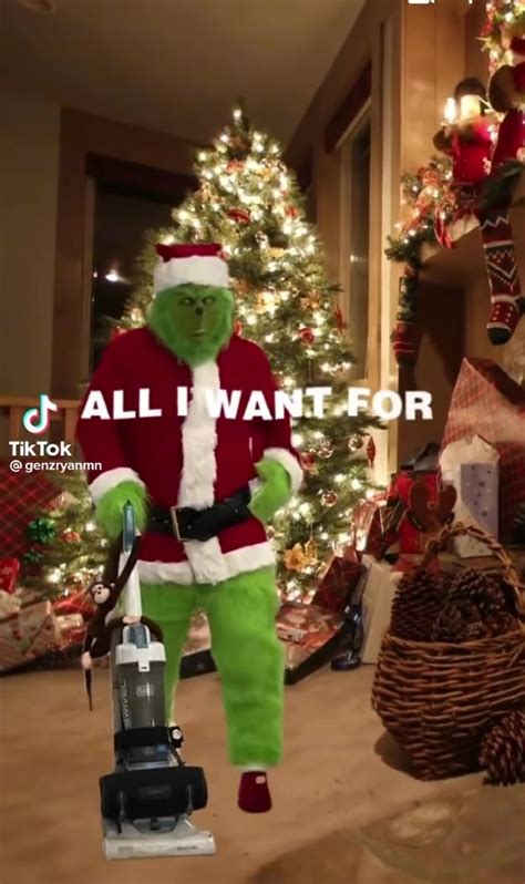 The Grinch Is Gettin Down With That Vacuum 🤣 By Tennessee Trendy Cleaning