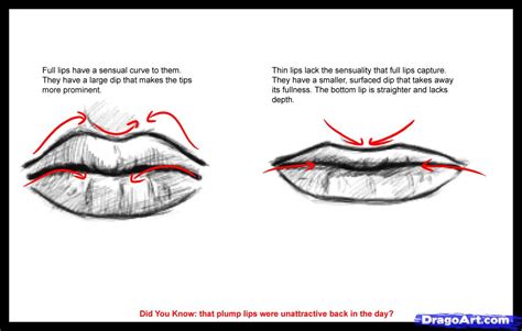Male Lips Drawing At Getdrawings Free Download
